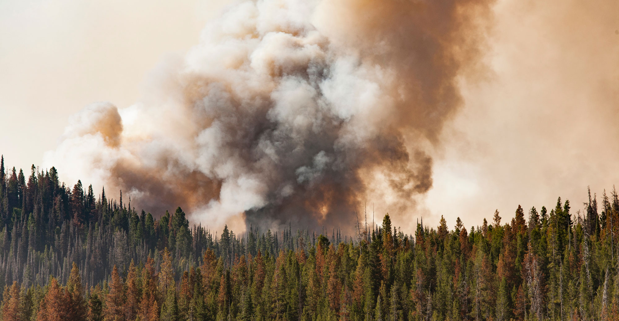 Wildfires spreading in Canada