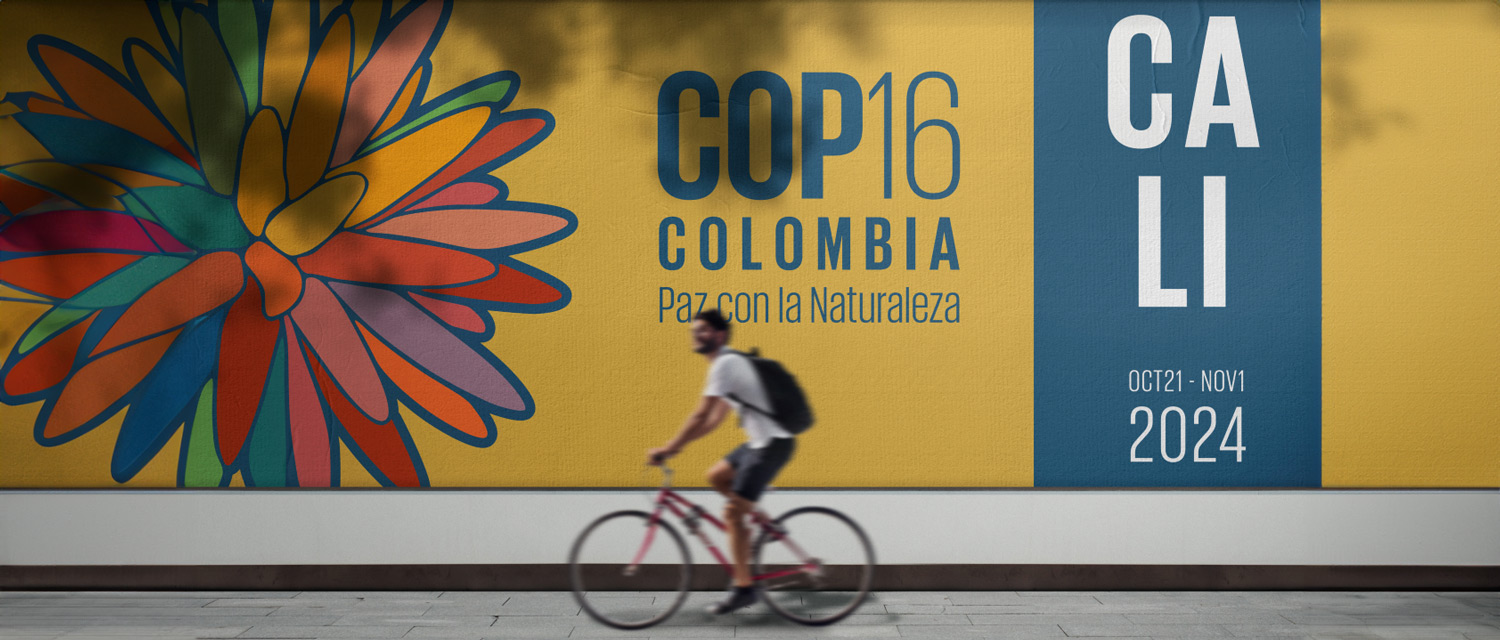 Banner on a wall representing the COP16 in Colombia.