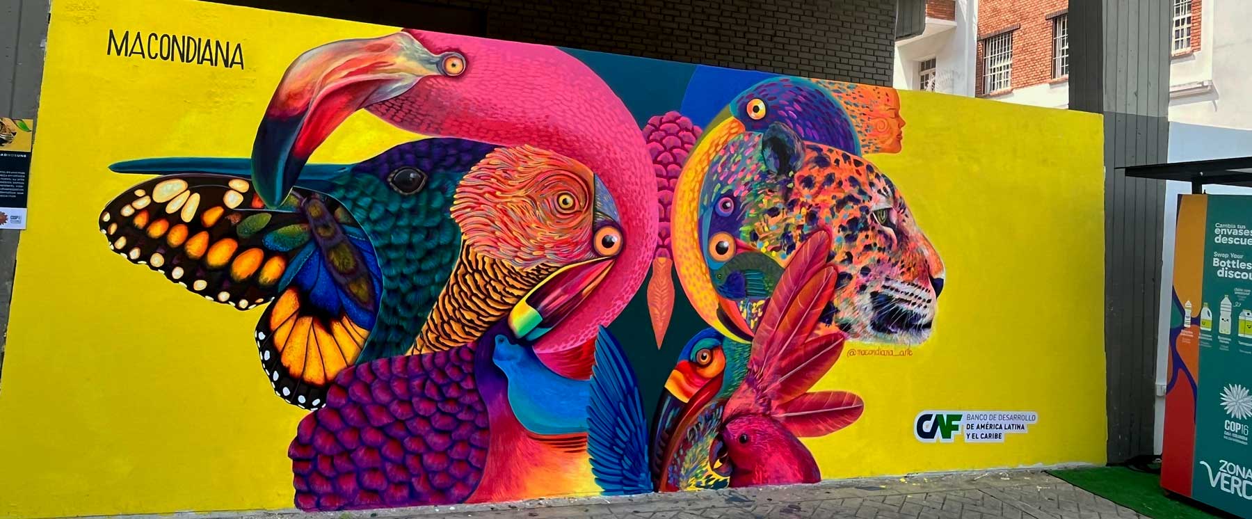 Painted wall in Cali, Colombia