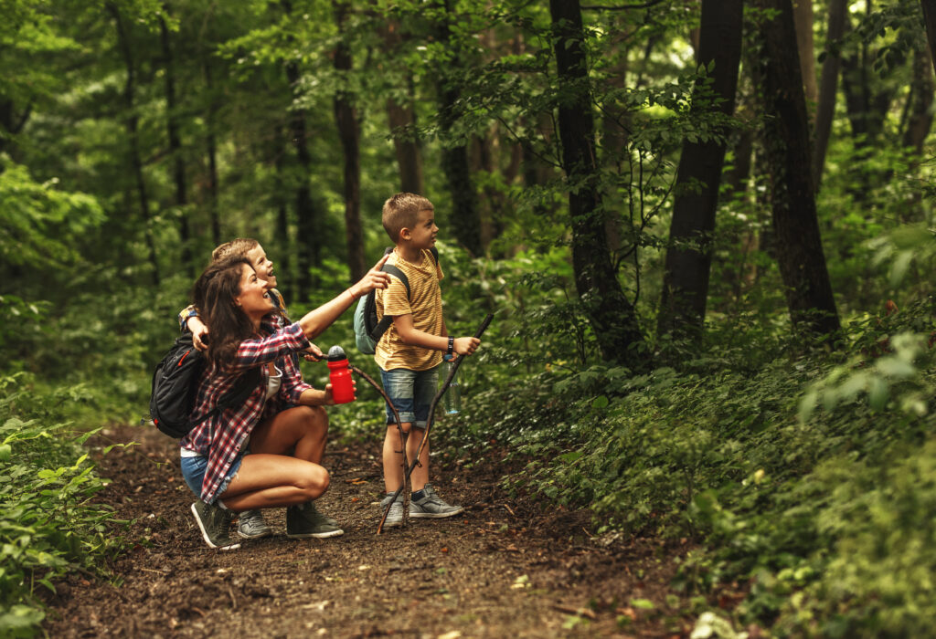 Little boys and their mother walking in a park.