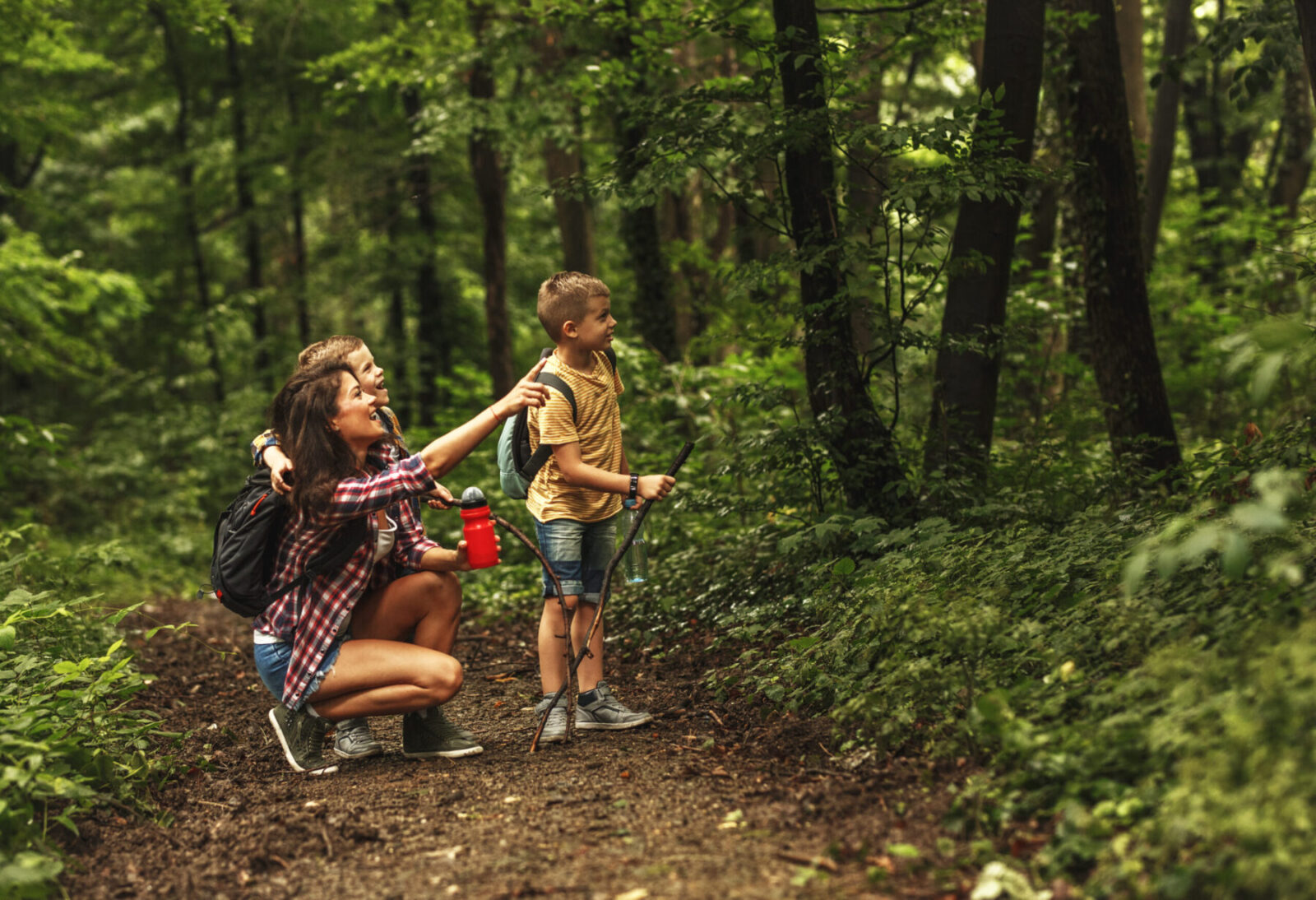 Little boys and their mother walking in a park.